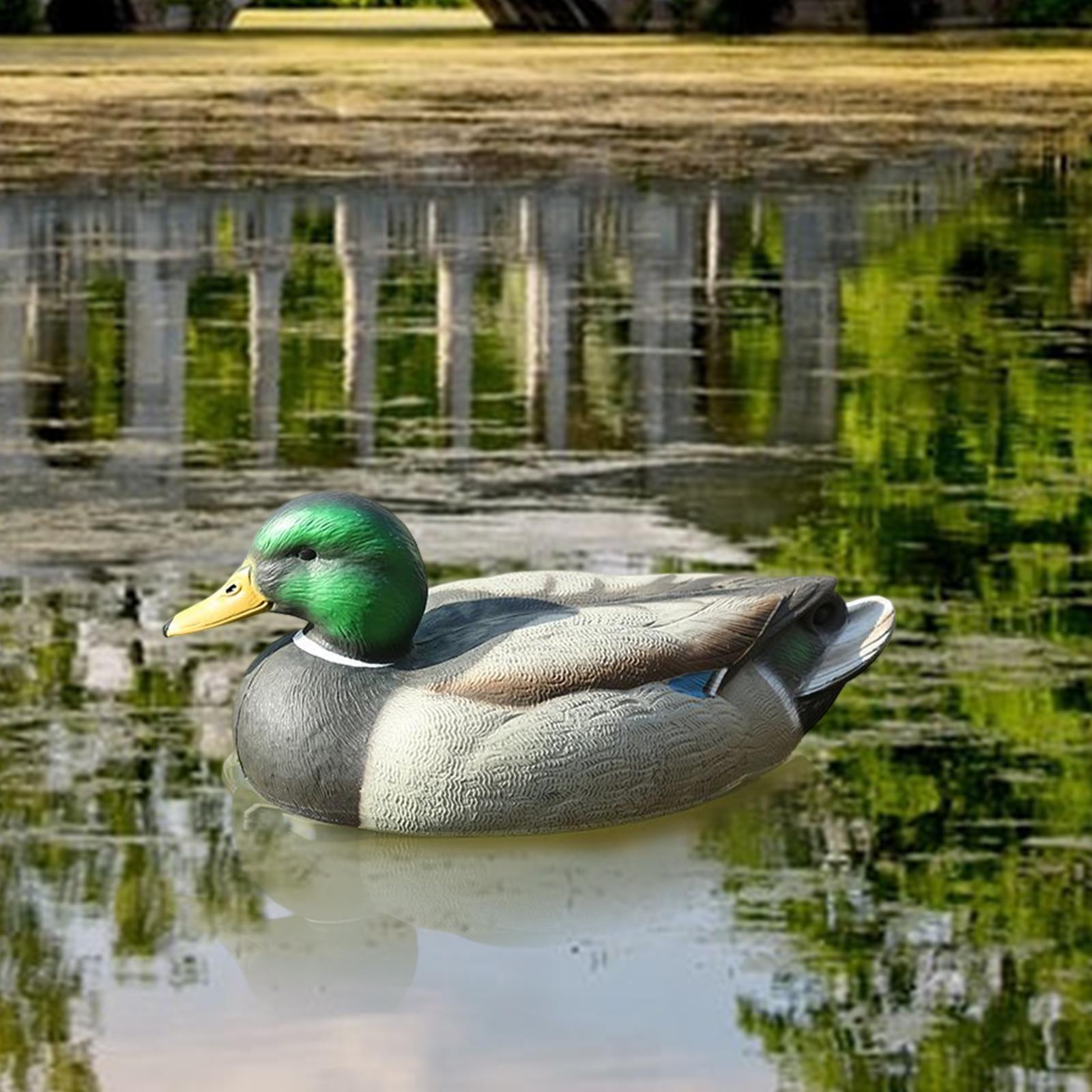 Decoy Duck Plastic - Anatomically Perfect Plastic Decoy Duck Mallard
