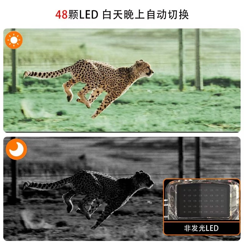 HOT SALE DL001 Hunting Camera  - огляд і ціна Outdoor Hunting Video Camera