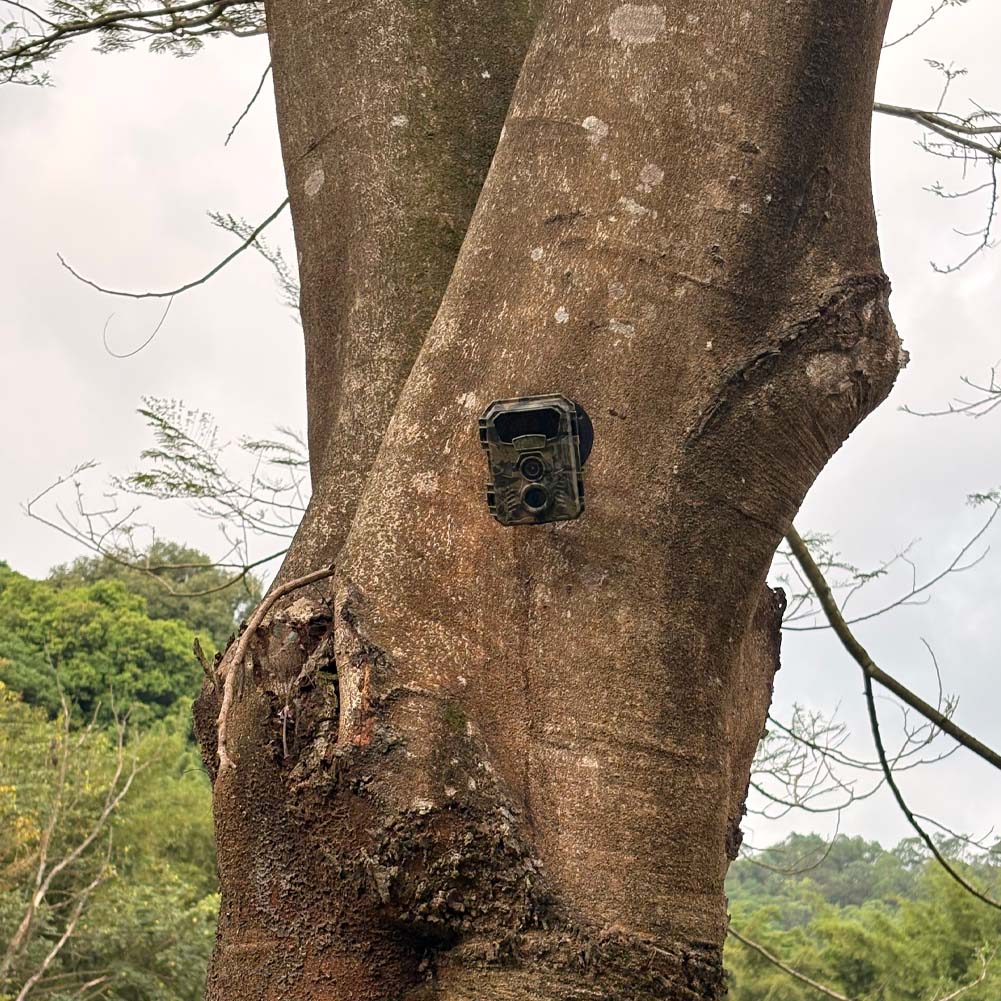 Hunting Trail Camera 16MP 1080 - огляд і ціна Outdoor Hunting Video Camera