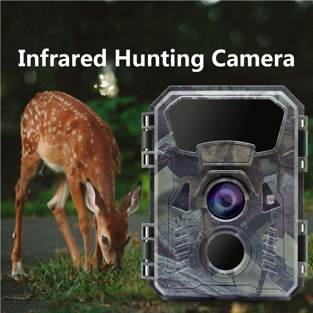 Hunting Trail Camera 16MP 1080 - огляд і ціна Outdoor Hunting Video Camera