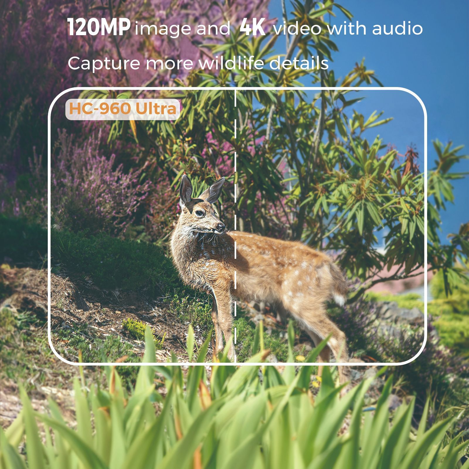 Outdoor 4K Video 120MP Photo 4 - огляд і ціна Outdoor Hunting Video Camera