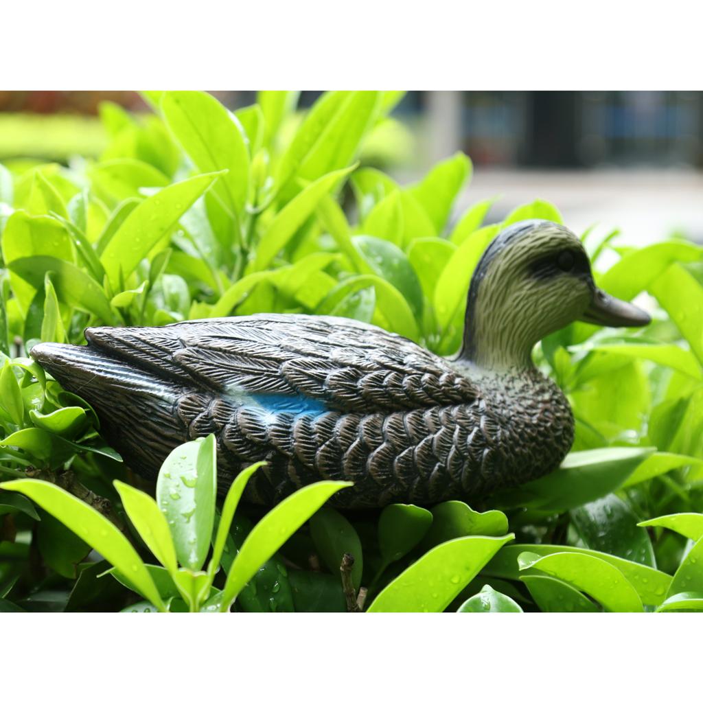 Lifesize Plastic Mandarin Duck - огляд і ціна Decoy Duck Plastic