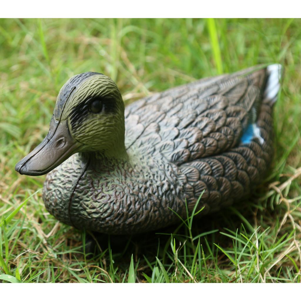 Lifesize Plastic Mandarin Duck - огляд і ціна Decoy Duck Plastic