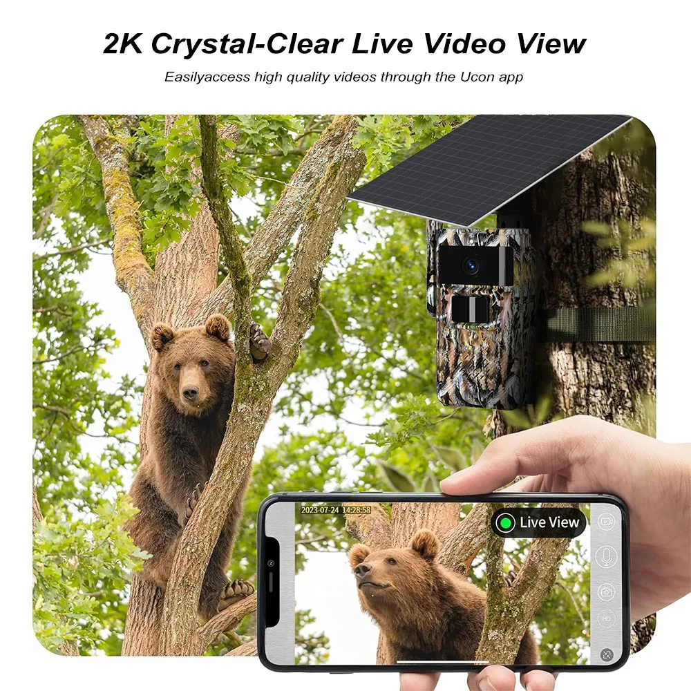 PEGATAH 4G Solar Powered Trail - огляд і ціна Outdoor Hunting Pictures