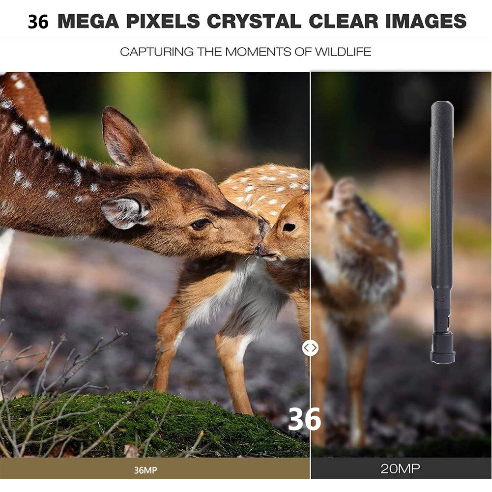HC-801Pro Outdoor Hunting Came - огляд і ціна Outdoor Hunting Pictures