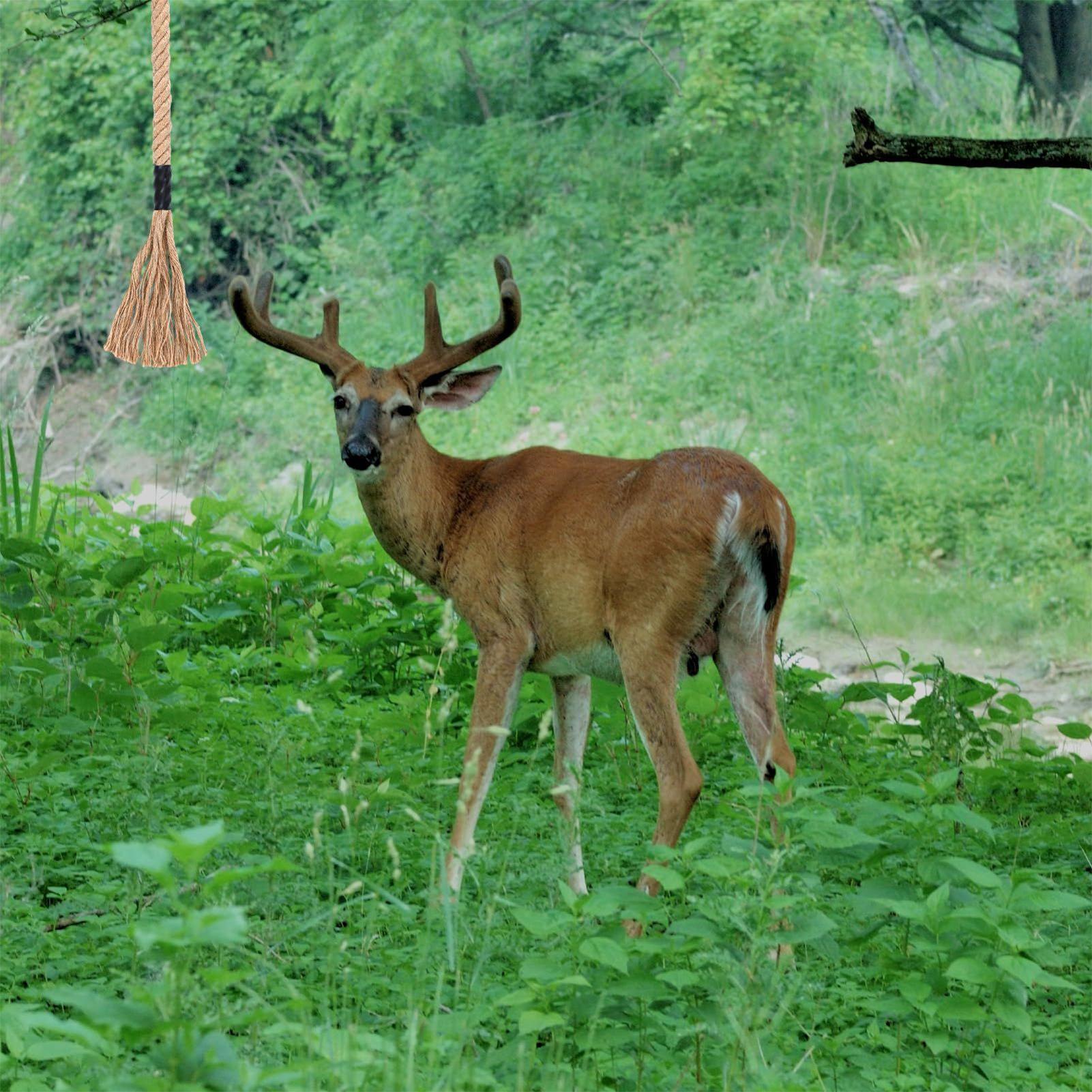 Deer Scrape Effective Long-Las - огляд і ціна Deer Attractant Scent
