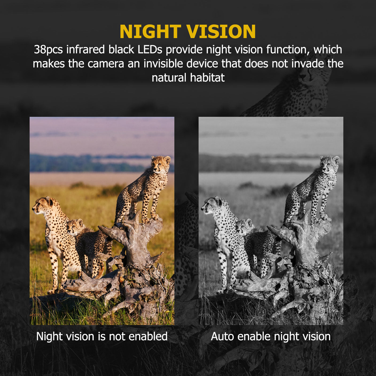 Hunting Game Camera 12Mp Pir N - огляд і ціна Outdoor Hunting Video Camera