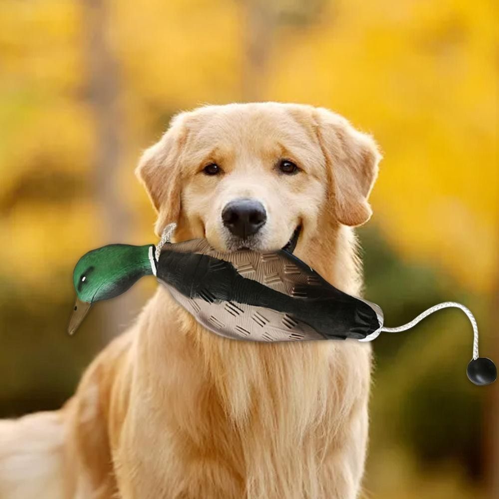Simulation Mallard Duck Decoy  - огляд і ціна Decoy Duck Plastic