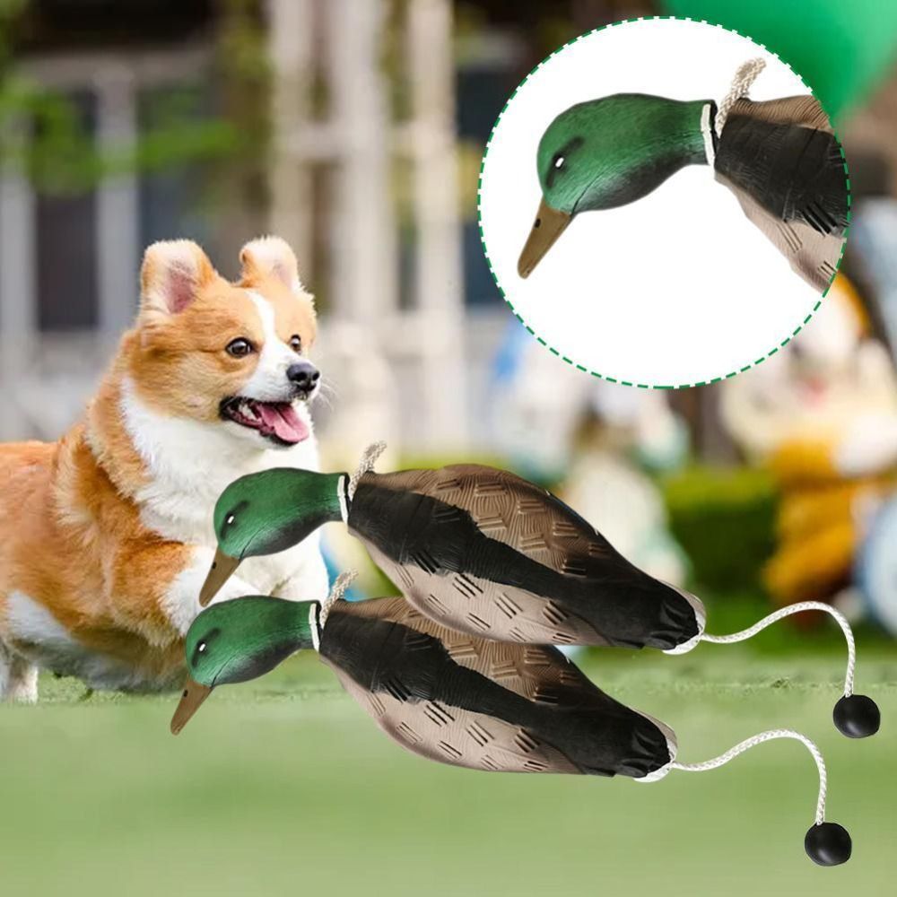 Mallard Duck Decoy Dog Trainin - огляд і ціна Decoy Duck Plastic