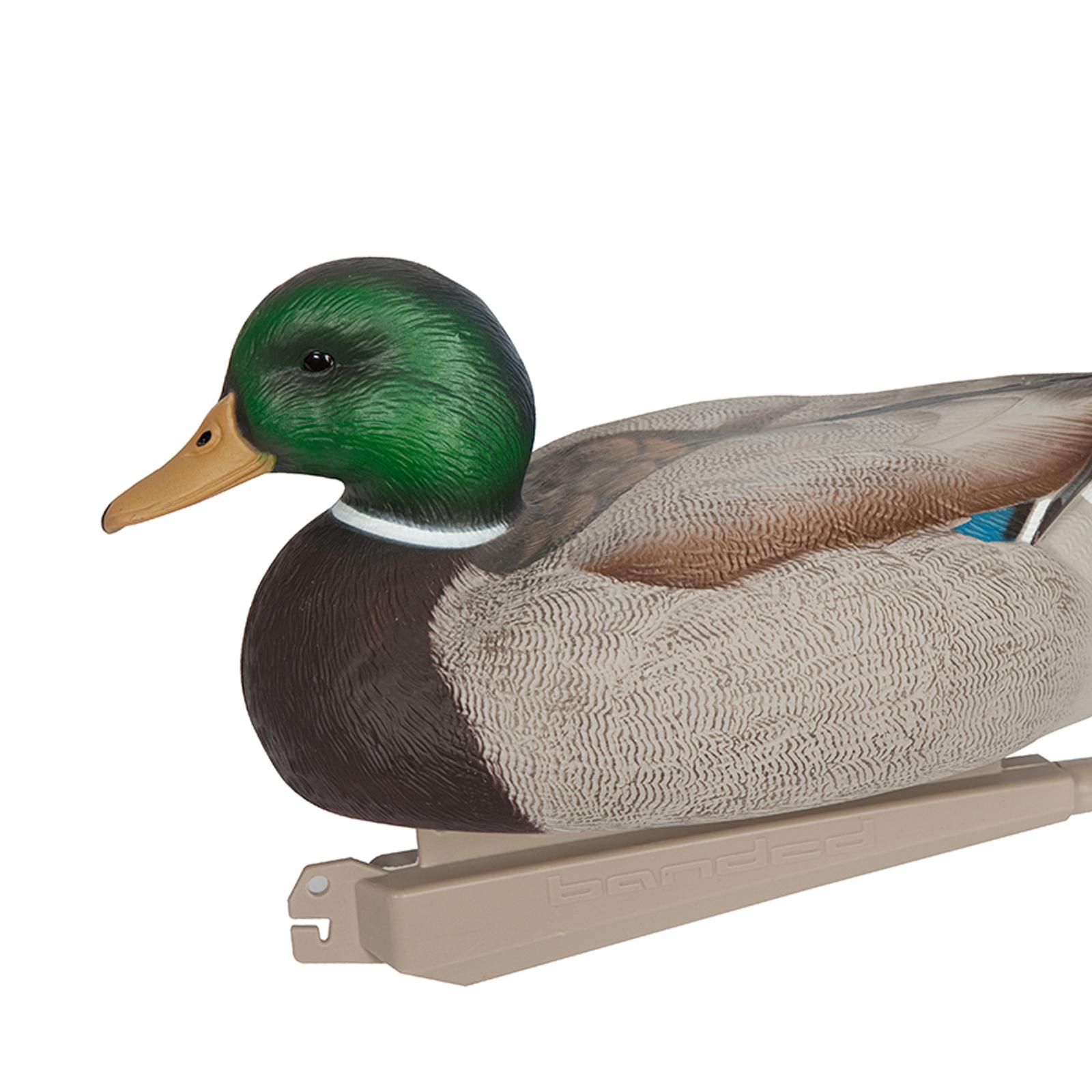 Anatomically Perfect Plastic D - огляд і ціна Decoy Duck Plastic