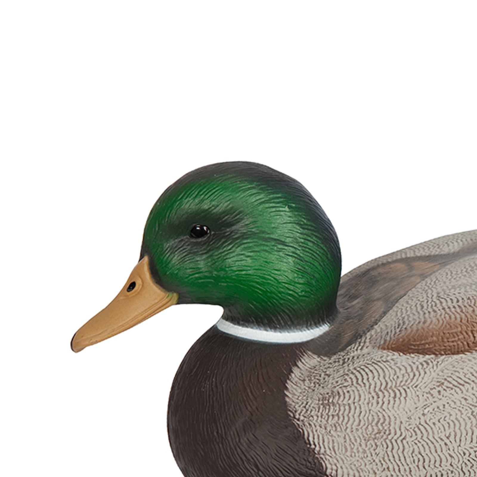 Anatomically Perfect Plastic D - огляд і ціна Decoy Duck Plastic