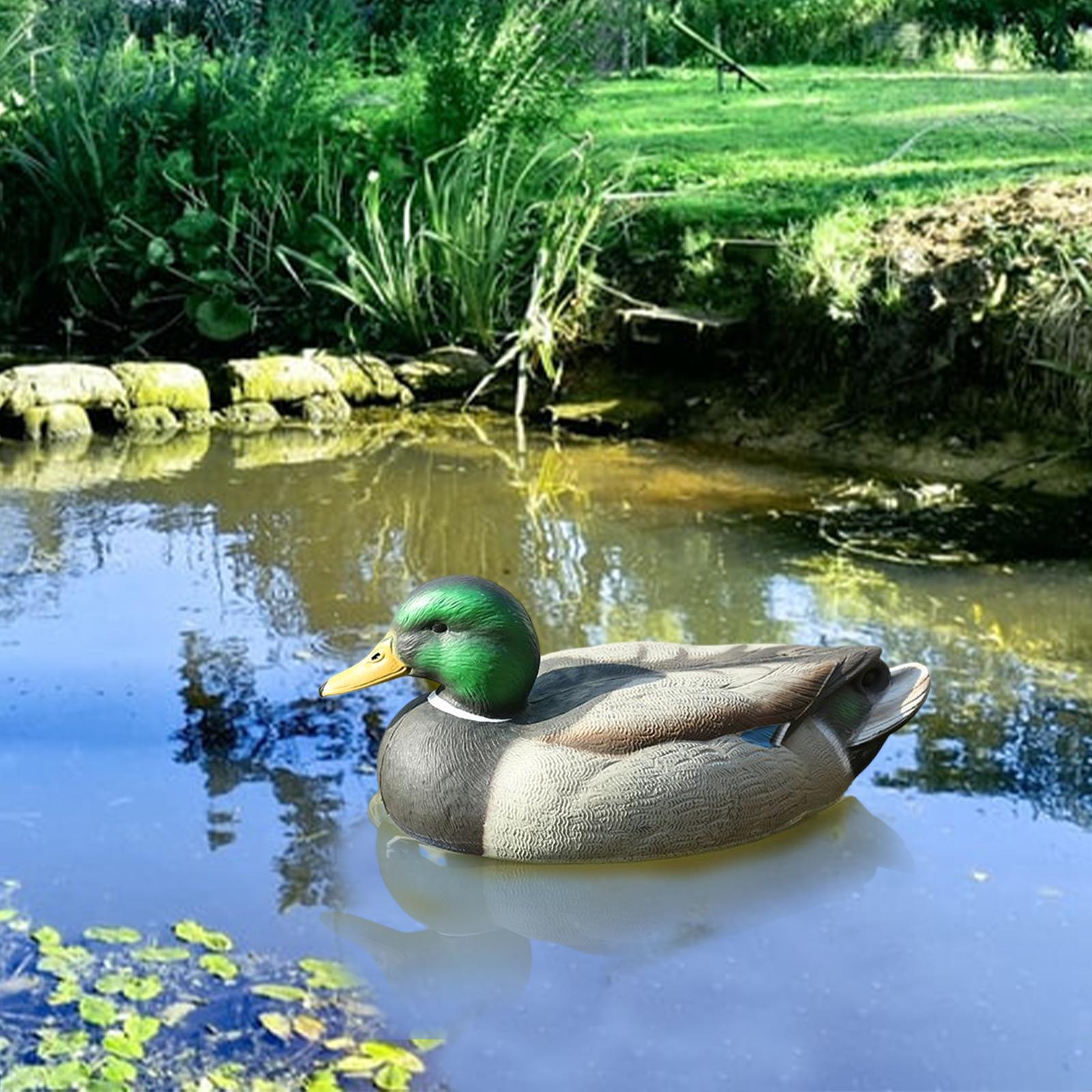 Anatomically Perfect Plastic D - огляд і ціна Decoy Duck Plastic
