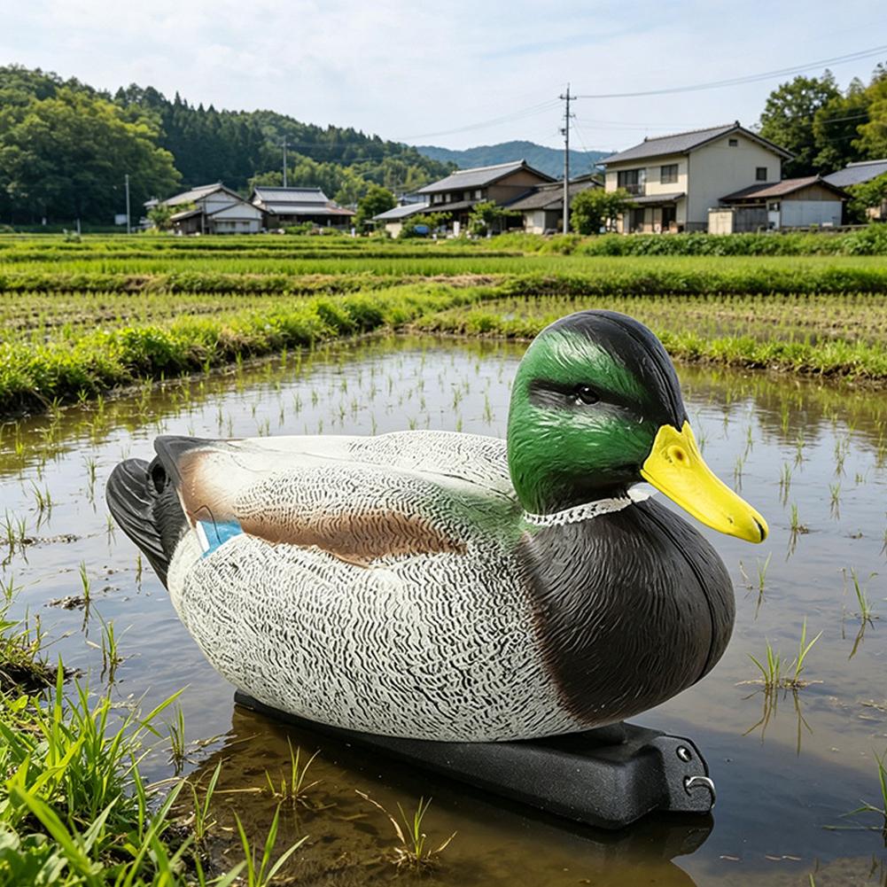 Floating Duck Decoy 3D Realist - огляд і ціна Decoy Duck Plastic